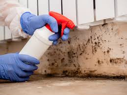 Best Asbestos and Lead Testing During Mold Inspection in San Augustine, TX